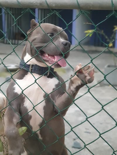 Smile for the camera