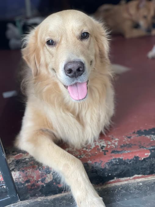 Lounge area relaxation