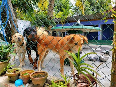 Birthday celebration