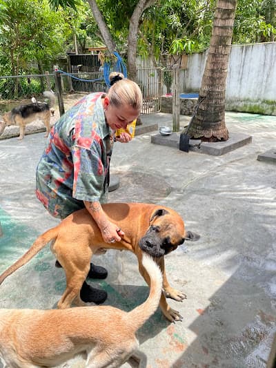 First day at daycare