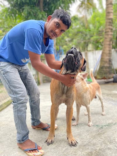 Adventure dog training