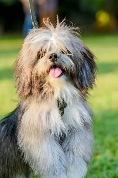 Customer appreciation event